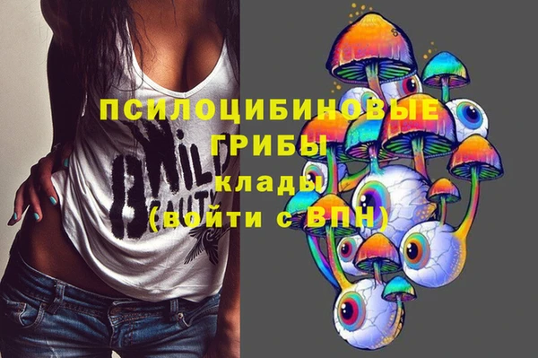 a pvp Бутурлиновка