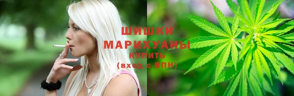 стаф Алзамай