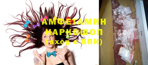 стаф Алзамай