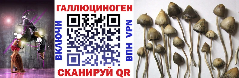 Галлюциногенные грибы MAGIC MUSHROOMS  Еманжелинск 