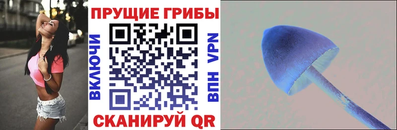 Псилоцибиновые грибы прущие грибы Еманжелинск